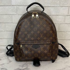 Louis Vuitton Palm Springs MM Monogram Backpack